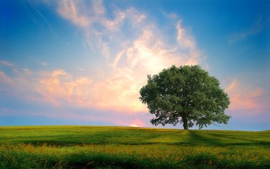 �����ݼ�����ѡ��Ͷ�������